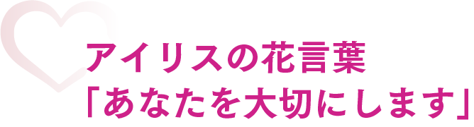 アイリスの花言葉「あなたを大切にします」